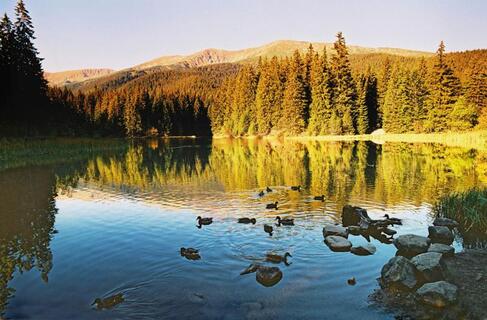 Vrbické pleso