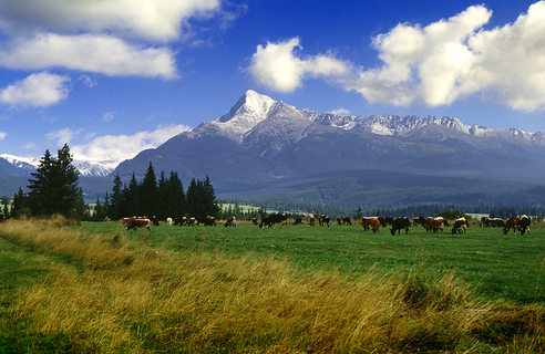 Kriváň - 2494,7 m n.m.