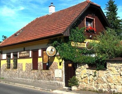 Vináreň u muzikantov