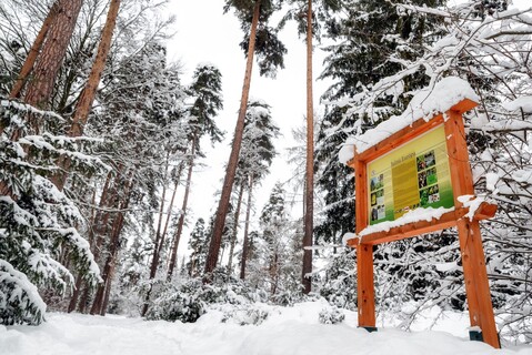Arborétum v Liptovskom Hrádku