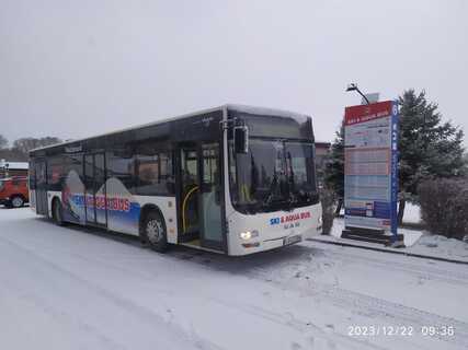 SKI & AQUA Bus
