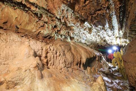 Jaskyňa mŕtvych netopierov