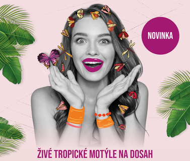 Motýlia záhrada